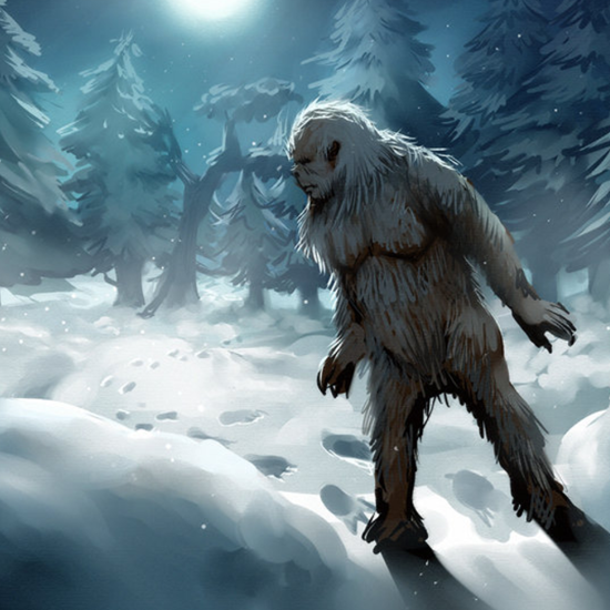 Footprints in the Snow: The Curious Case of the Sunnyslope Sasquatch