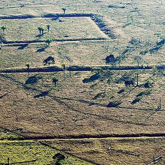 Amazonian Geoglyphs May Be Remnants of a Lost Civilization