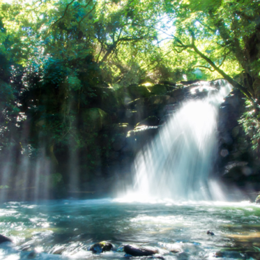 The Fountain of Youth: Ancient Mysteries, and Modern Anti-Aging Science