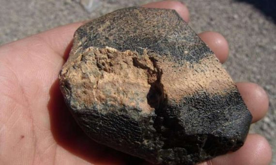 martian meteoritejpg 570x342