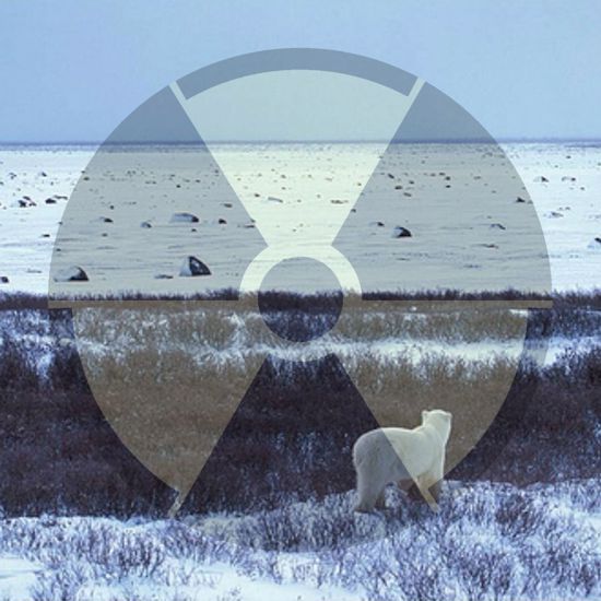 Unexplained Nuclear Activity Detected in the Arctic