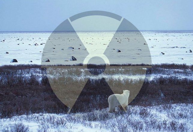 Unexplained Nuclear Activity Detected in the Arctic