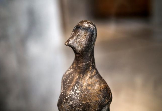 Strange Ancient Statue is a 7000-Year Archaeological Enigma