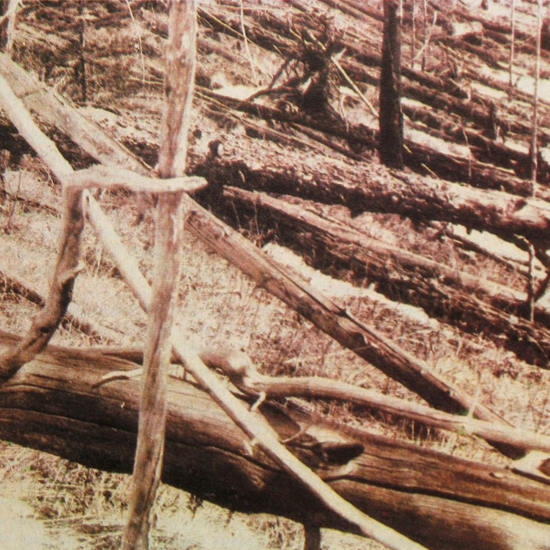 New Explanation for the Tunguska Meteorite Event and Destruction
