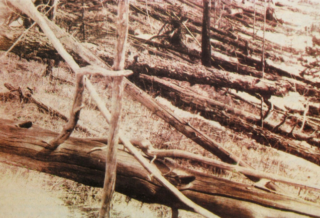 New Explanation for the Tunguska Meteorite Event and Destruction