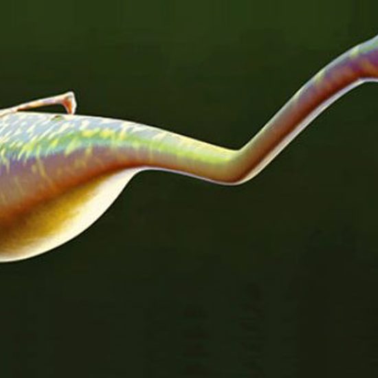 The Identity of the “Tully Monster” Remains a Mystery