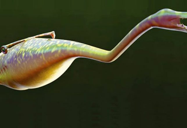 The Identity of the “Tully Monster” Remains a Mystery