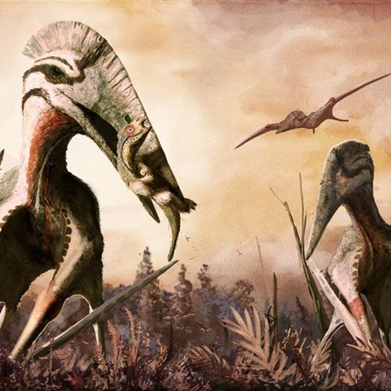 Romania’s Plane-Sized Flying Pterosaurs Were Aerial Killers