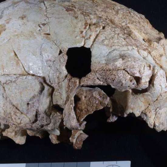 400,000-Year-Old Skull May Be From A New Hominin Species