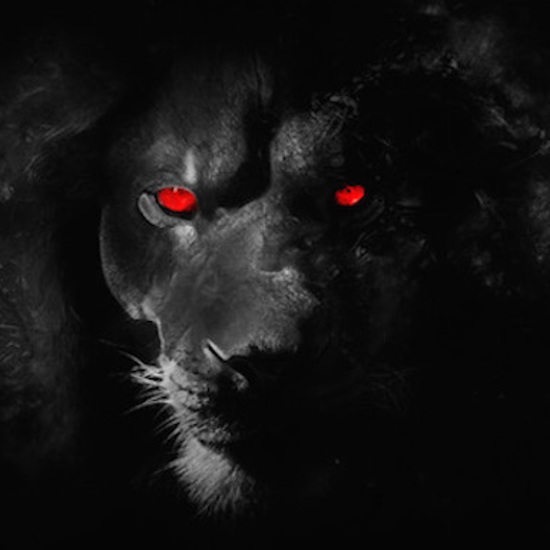Demon Lions: The Ghost, The Darkness, and Other Mysterious Man-Eaters