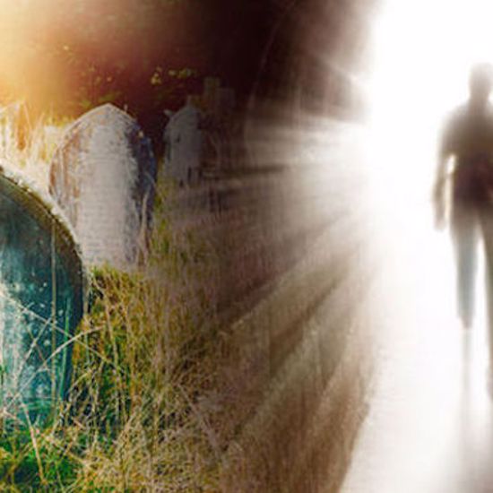 Alive Again: Truly Amazing Accounts of Reincarnation