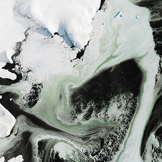 Mysterious Green Ice is Spreading Around Antarctica