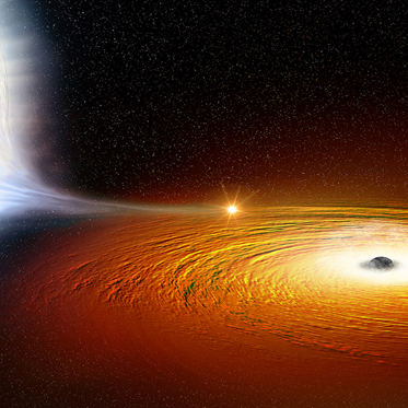 Black Hole Toys With Tiny White Dwarf Star