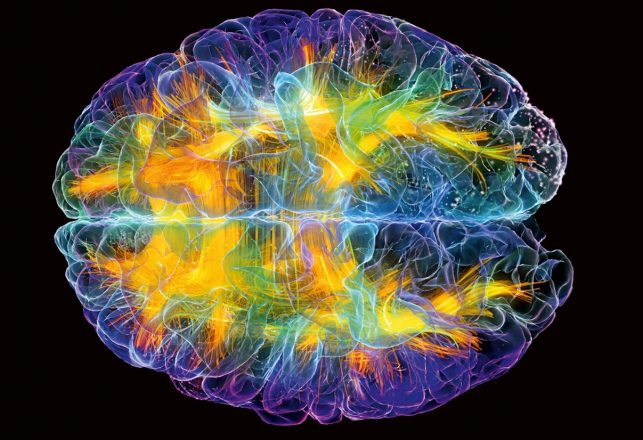 Study Shows Brains Are Ten Times More Active Than We Thought