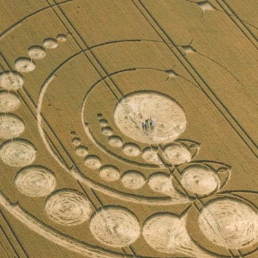 Scientist Decodes Crop Circles and Finds Alien Messages