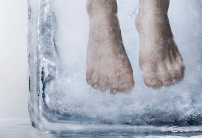 Cryogenically-Frozen Patients May Soon Be Able to Be Thawed