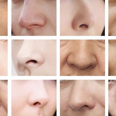 Your Nose is Shaped by the Climate