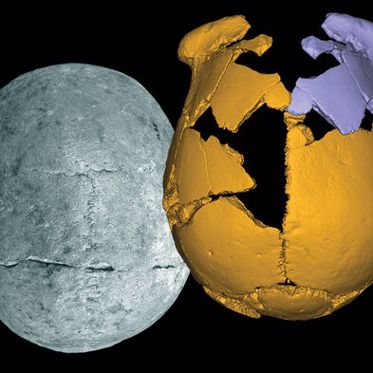 Mystery Skulls May Belong to Unknown Race of Ancient Humans