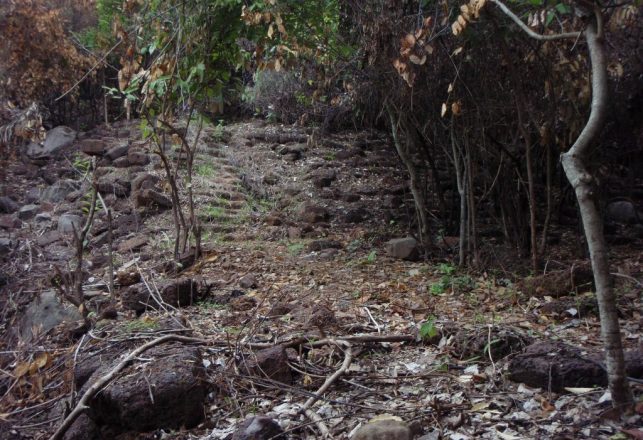 Mysterious Ancient Staircase to Nowhere Found in Cambodia