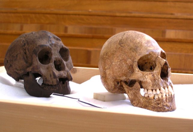 Here be Hobbits! Why Homo Floresiensis Should Help Encourage Open-Mindedness in Anthropology