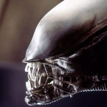 Ridley Scott Says Aliens Exist and Don’t Mess With Them