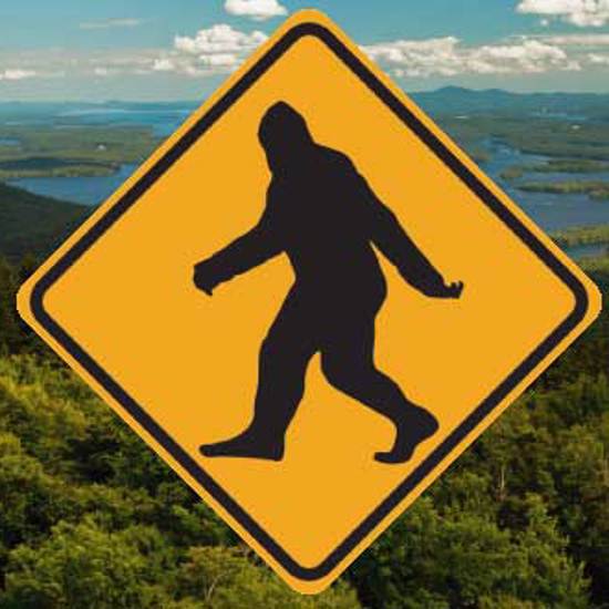 Bigfoot Expert Says Accident Blamed on Sasquatch is Credible