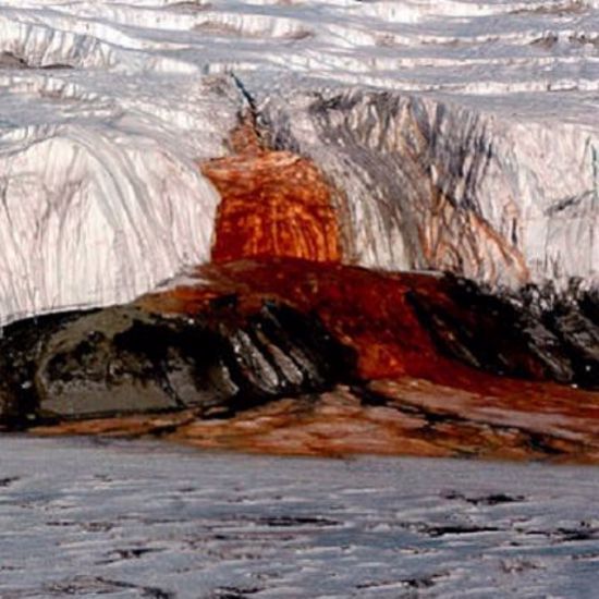The Mystery of Antarctica’s Blood Falls Has Been Solved