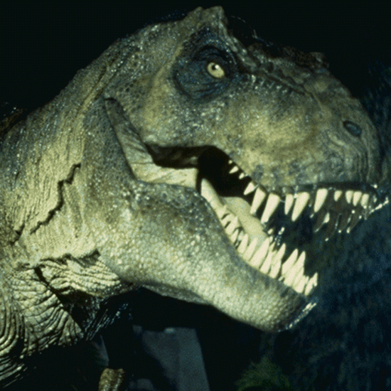 Tyrannosaur Fossils Show Strange ‘Sixth Sense’ Facial Organs
