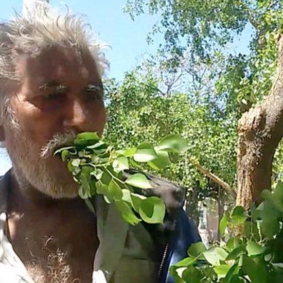 Man Claims He’s Lived for 25 Years Eating Leaves and Trees