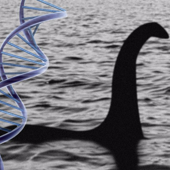 Loch Ness DNA Could End Search for Nessie Once and for All