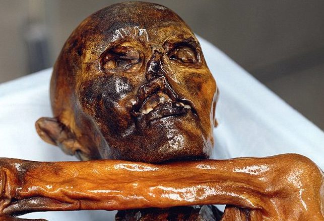 New Research Casts Doubts on Ötzi the Iceman Murder Theory