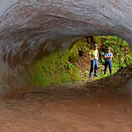 Mysterious Brazilian Tunnels Dug by Mysterious Giant Creatures
