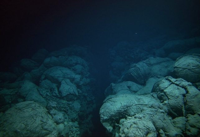 An ‘Alien’ World May Lie Miles Beneath the Mariana Trench