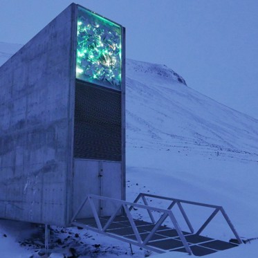 Arctic ‘Doomsday Library’ Built to Protect World’s Knowledge