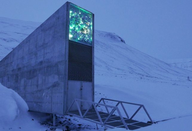 Arctic ‘Doomsday Library’ Built to Protect World’s Knowledge