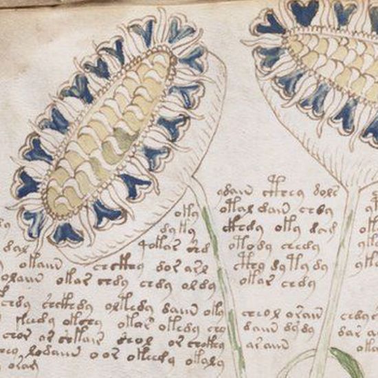 Russian Mathematicians Solve the Mysterious Voynich Manuscript