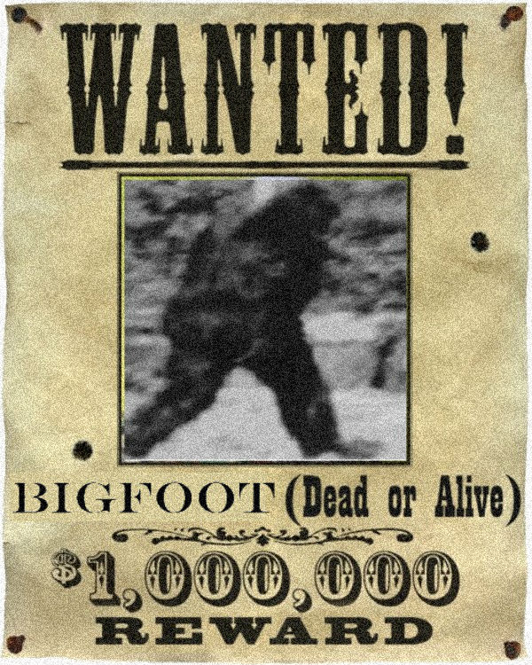 wanted 1