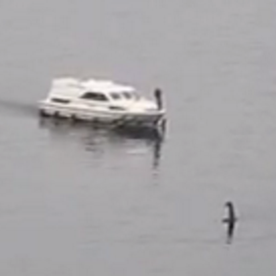 New Loch Ness Monster Footage Stirs Debate