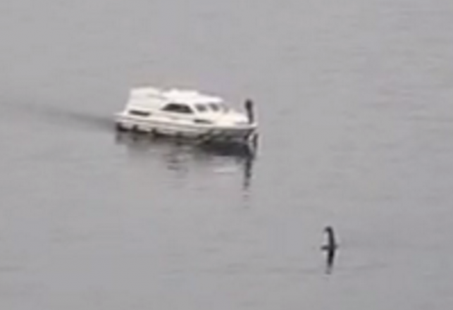 New Loch Ness Monster Footage Stirs Debate