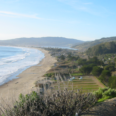 The Stinson Beach Serpent: A California Sea Monster, Reconsidered