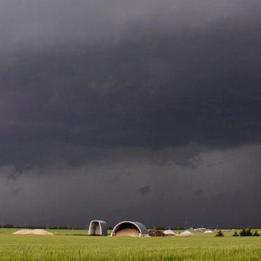 Mass Cow Deaths by Lightning Are Mysteriously on the Rise