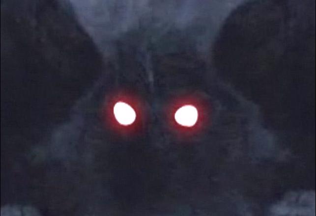 Mothman? Chupacabras? Or Something Else?