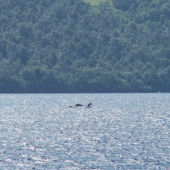Early Monster Confrontations at Loch Ness