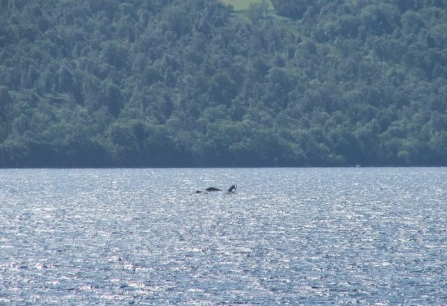 Early Monster Confrontations at Loch Ness