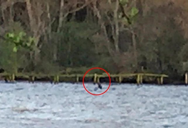 Nessie is Back! New Sighting is First in Nine Months