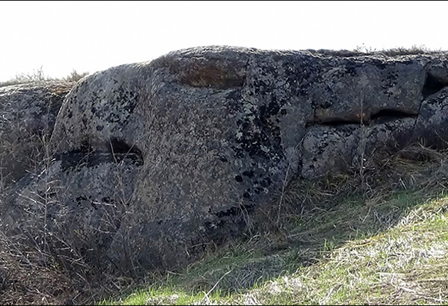 Mysterious Ice Age Dragon and Griffin Stones Found in Siberia