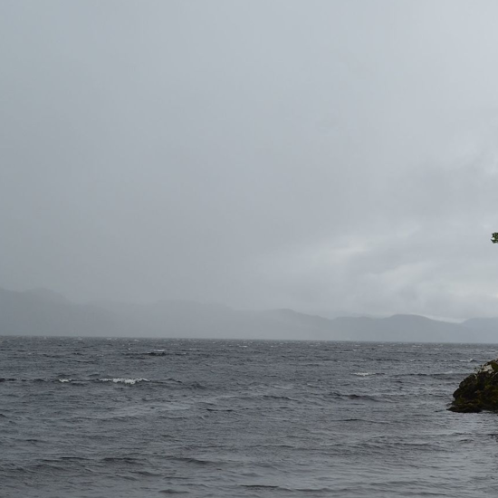 Nessie, Phone Home! Sightings Group Says Loch Ness Monster is on Hiatus