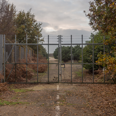 The “Other” Rendlesham Forest UFO Encounters