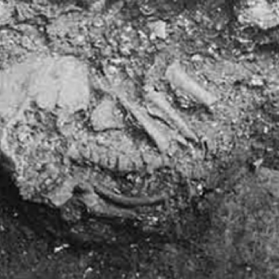 Strange Medical Mystery Unearthed on Panama’s ‘Witch Hill’