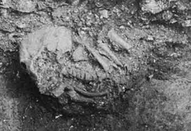 Strange Medical Mystery Unearthed on Panama’s ‘Witch Hill’